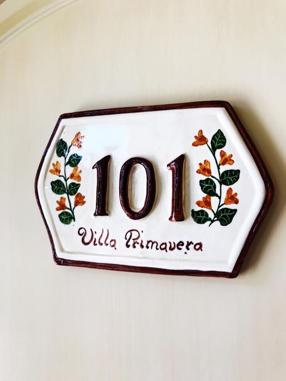 B&B Villa Primavera 피사 외부 사진